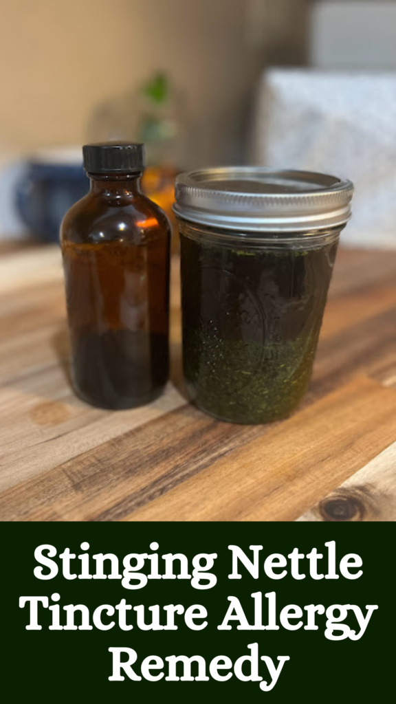 amber bottle and a pint jar with green liquid sitting on the counter with the caption stinging nettle tincture allergy remedy